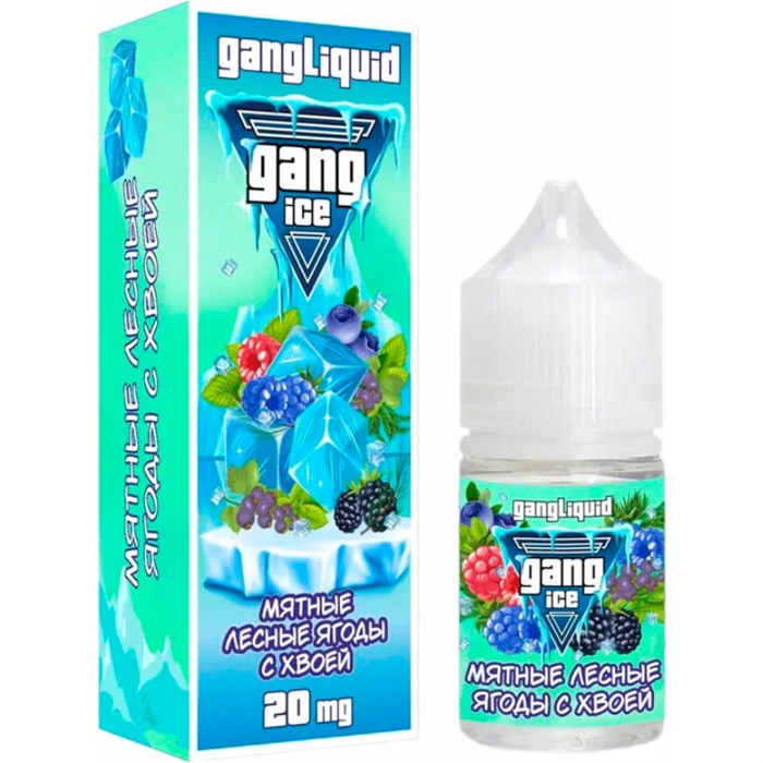 Gang ICE - Мятные Лесные Ягоды с Хвоей 30мл 20 B-PrIMZfj8isUGBygAX8Y1 - фото 3446