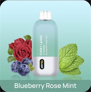 Funky Lands Vi10000 - Blueberry Rose Mint mVJhbeNgjHeszN1QjOS-x0