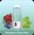 Funky Lands Vi10000 - Blueberry Rose Mint mVJhbeNgjHeszN1QjOS-x0 - фото 3118