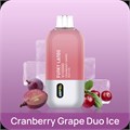 Funky Lands Vi10000 - Cranberry Grape Duo Ice WincfsaYib6pCXBJwheWV1 - фото 3435